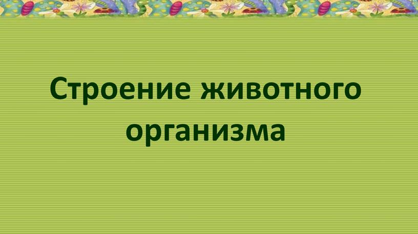 Строение животного организма