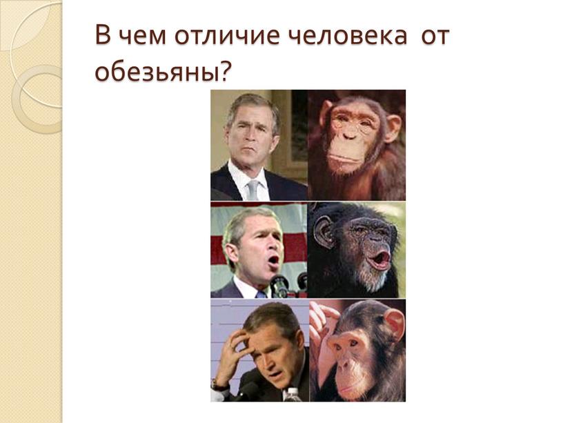 В чем отличие человека от обезьяны?