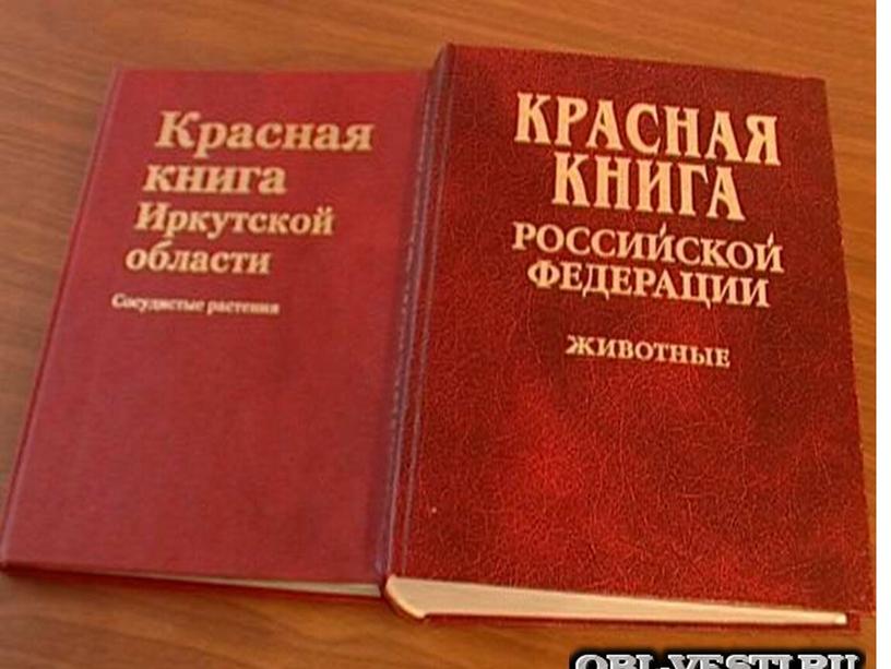 Красная книга