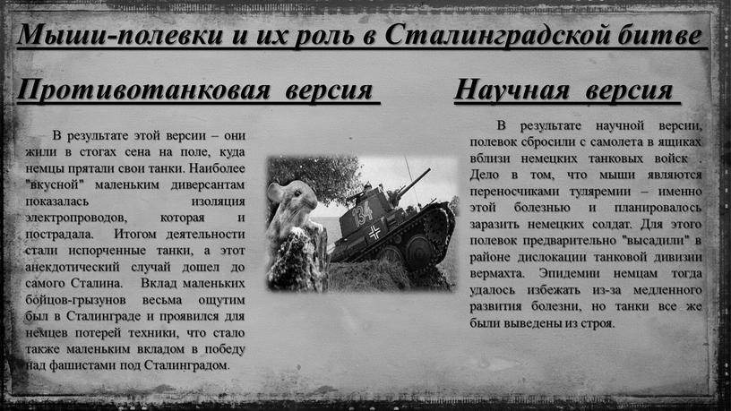 Мыши-полевки и их роль в Сталинградской битве