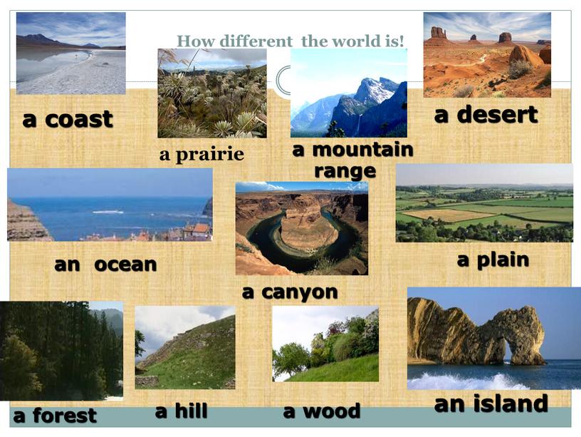 How different the world is! a prairie a coast a desert an island a plain an ocean a canyon a hill a mountain range a…