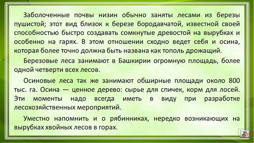 Заболоченные почвы низин обычно заняты лесами из березы пушистой; этот вид близок к березе бородавчатой, известной своей способностью быстро создавать сомкнутые древостой на вырубках и…