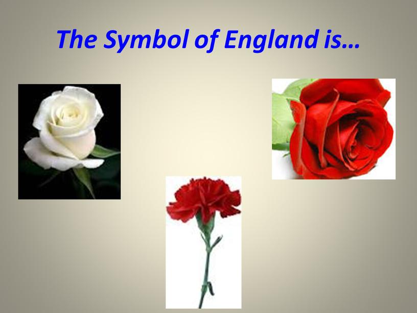 The Symbol of England is…