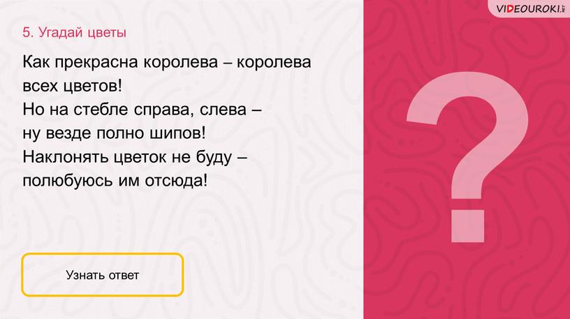 Угадай цветы Узнать ответ Как прекрасна королева – королева всех цветов!