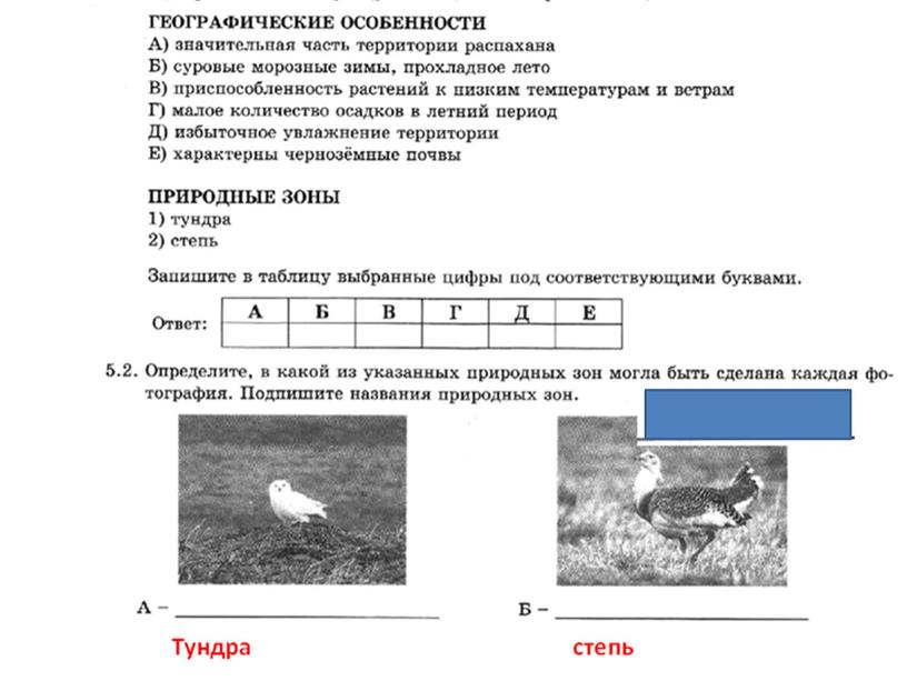 Презентация к уроку географии в 7 классе  "Природные зоны "