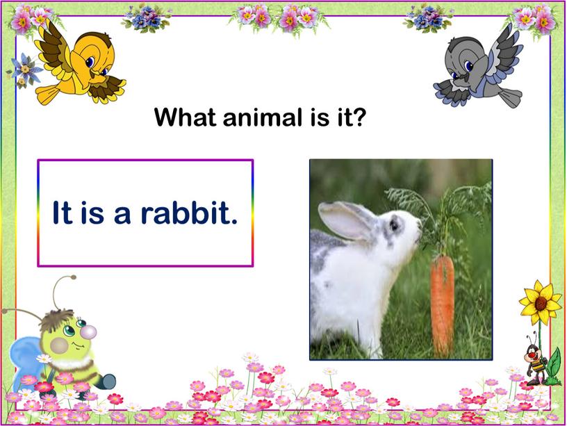 What animal is it? It is a rabbit