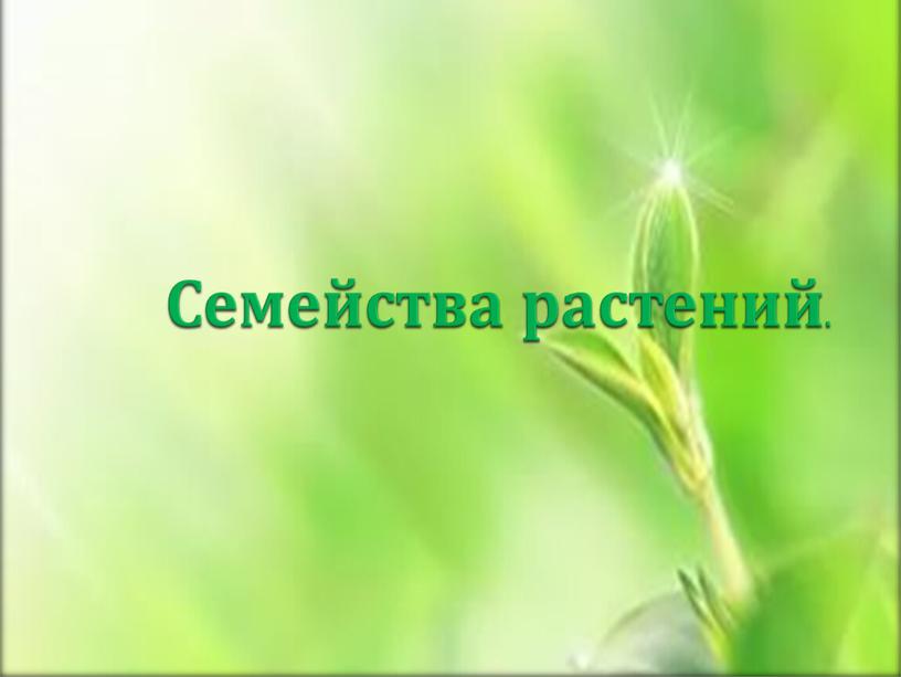 Семейства растений.