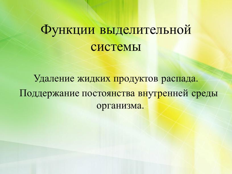 Функции выделительной системы Удаление жидких продуктов распада