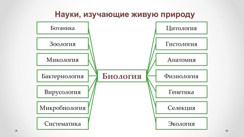 Науки, изучающие живую природу