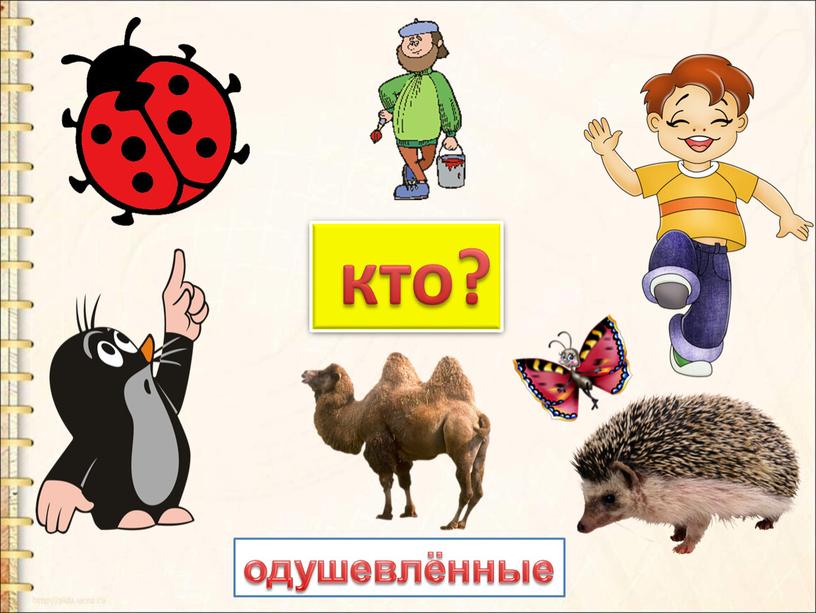 кто? одушевлённые