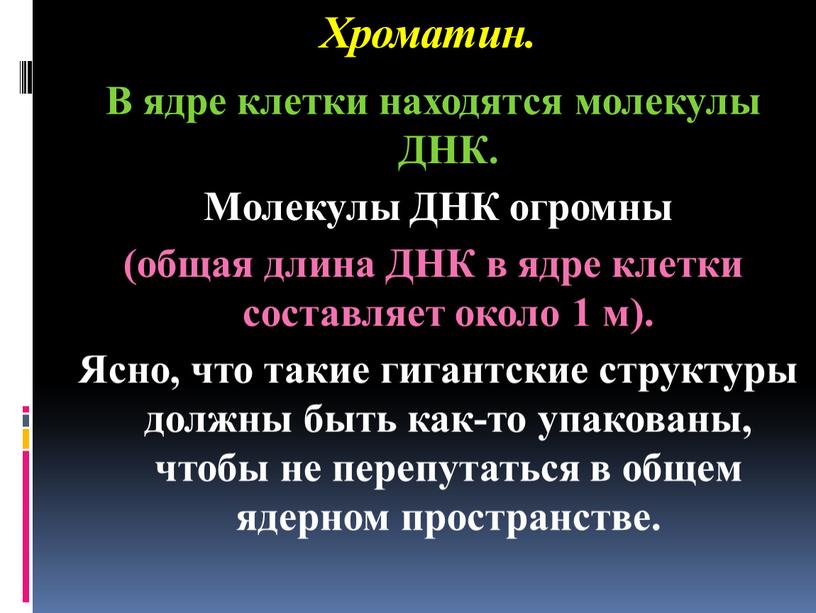 Хроматин. В ядре клетки находятся молекулы