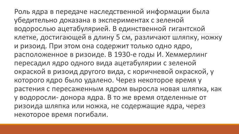 Роль ядра в передаче наследственной информации была убедительно доказана в экспериментах с зеленой водорослью ацетабулярией