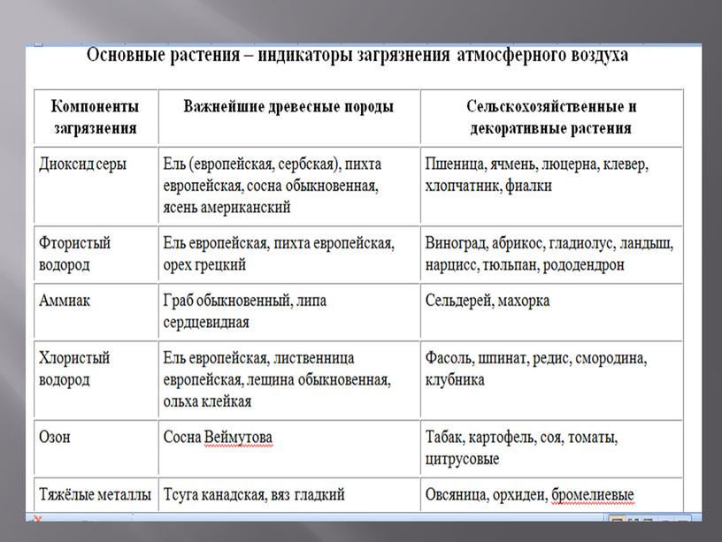 Презентация по географии растения индикаторы