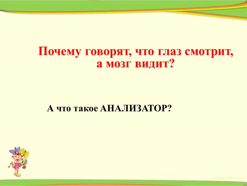 Почему говорят, что глаз смотрит, а мозг видит?