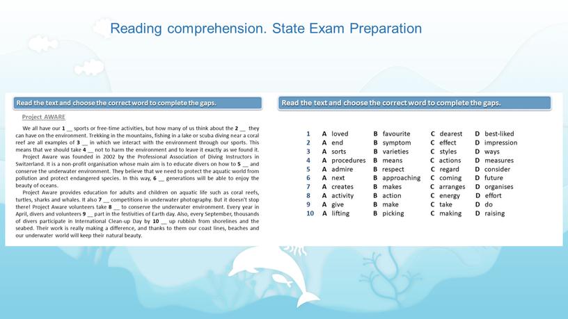 Reading comprehension. State Exam