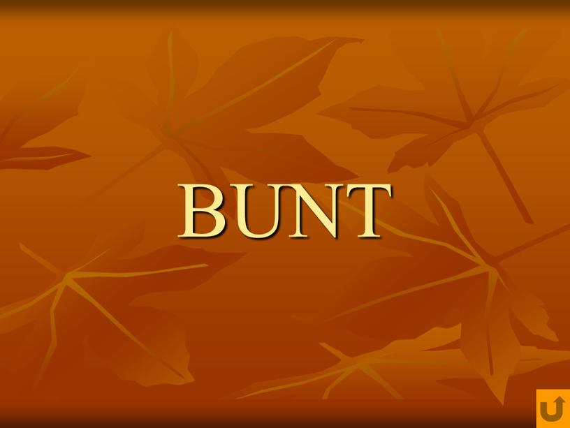 BUNT