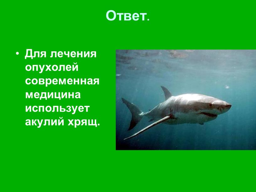 Ответ . Для лечения опухолей современная медицина использует акулий хрящ