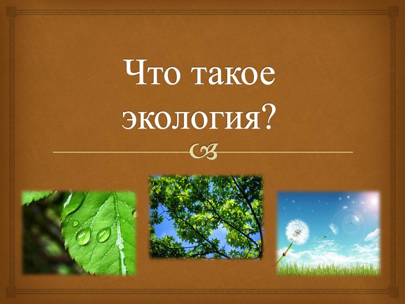 Что такое экология?