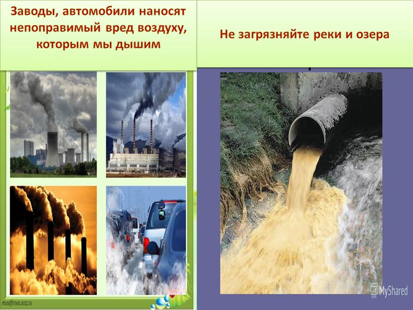 Заводы, автомобили наносят непоправимый вред воздуху, которым мы дышим