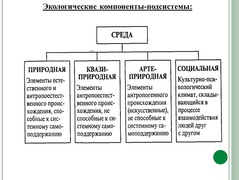 Экологические компоненты-подсистемы: