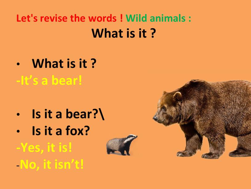 Let's revise the words ! Wild animals :