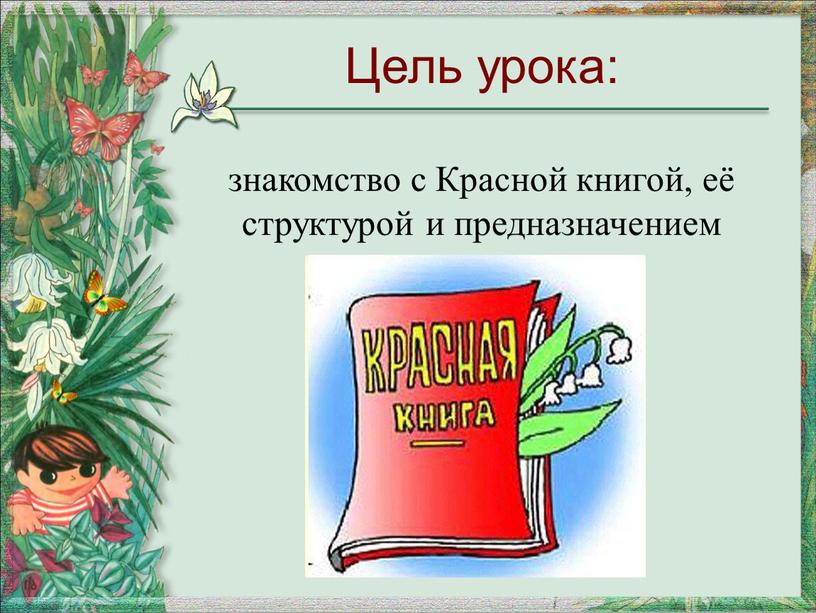 Красной книгой, её структурой и предназначением