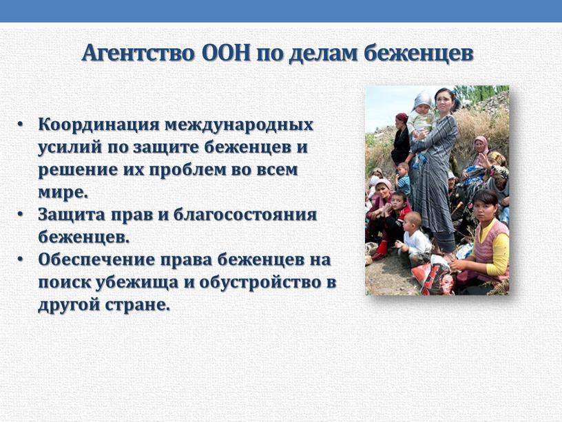 Агентство ООН по делам беженцев