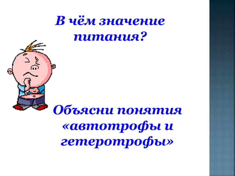 В чём значение питания? Объясни понятия «автотрофы и гетеротрофы»