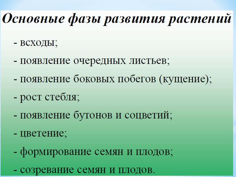 Условия прорастания семян растений, 6 класс, биология