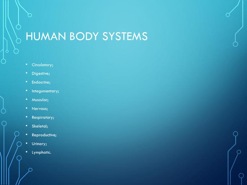 Human body systems Circulatory;