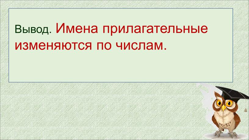 Вывод. Имена прилагательные изменяются по числам