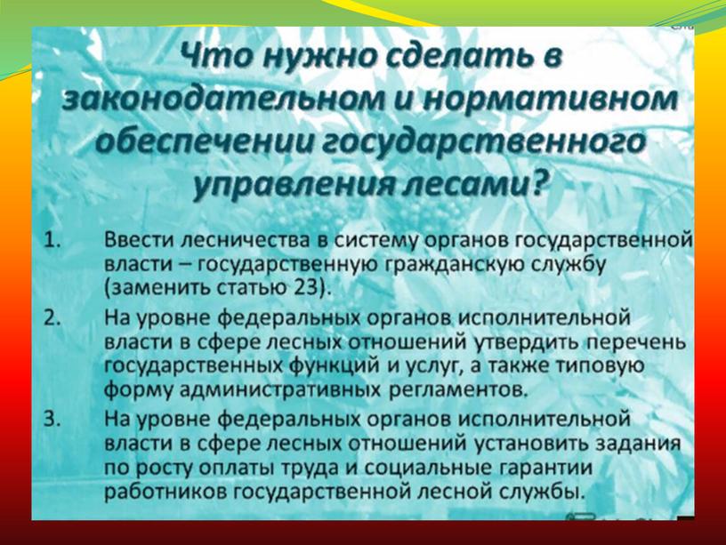 Организация государственного управления лесным хозяйством РФ.