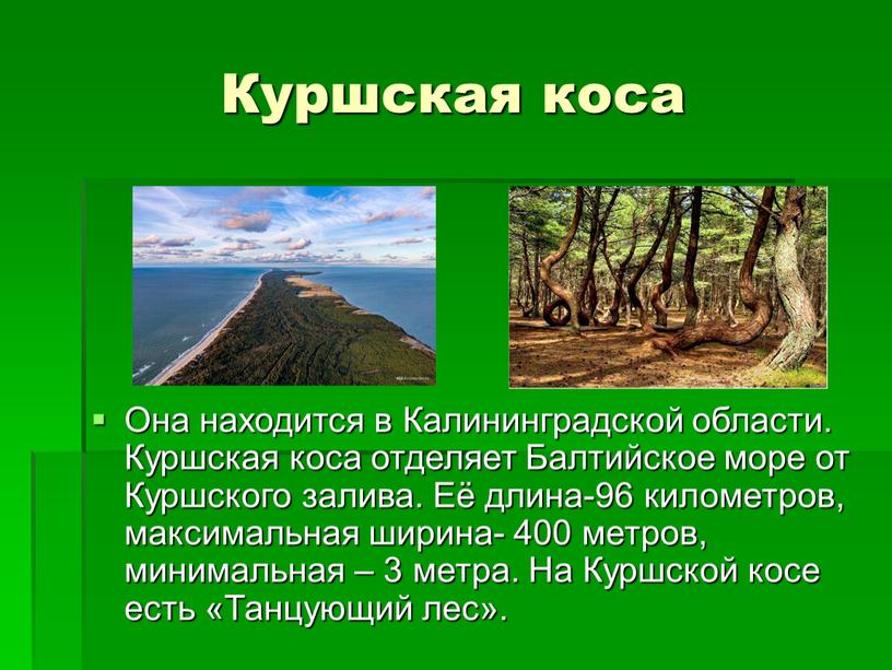 Куршская коса Она находится в Калининградской области