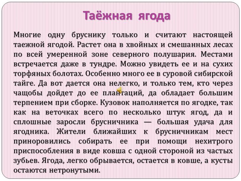 Таёжная ягода Многие одну бруснику только и считают настоящей таежной ягодой