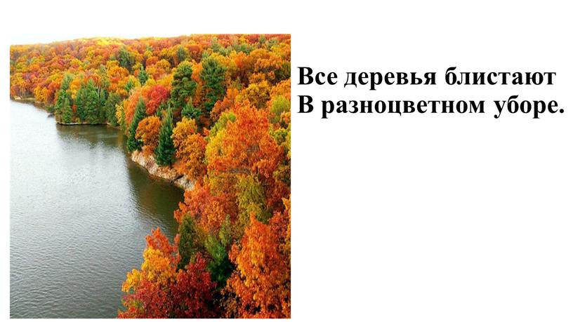 Все деревья блистают В разноцветном уборе