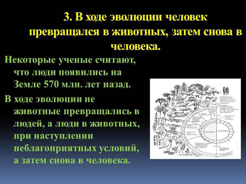 В ходе эволюции человек превращался в животных, затем снова в человека