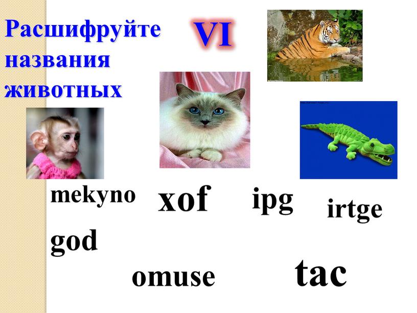 VI Расшифруйте названия животных god irtge mekyno xof omuse tac ipg