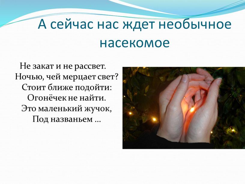 А сейчас нас ждет необычное насекомое