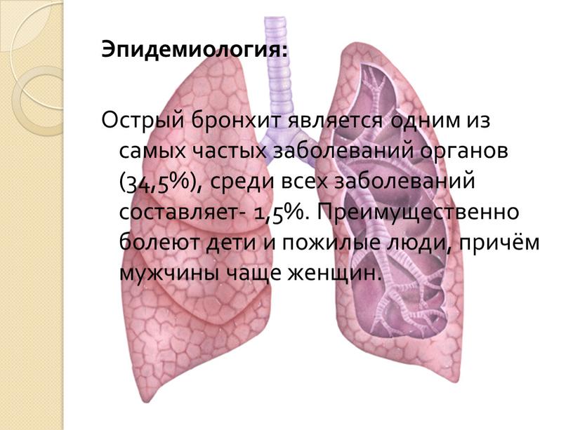 Эпидемиология: Острый бронхит является одним из самых частых заболеваний органов (34,5%), среди всех заболеваний составляет- 1,5%