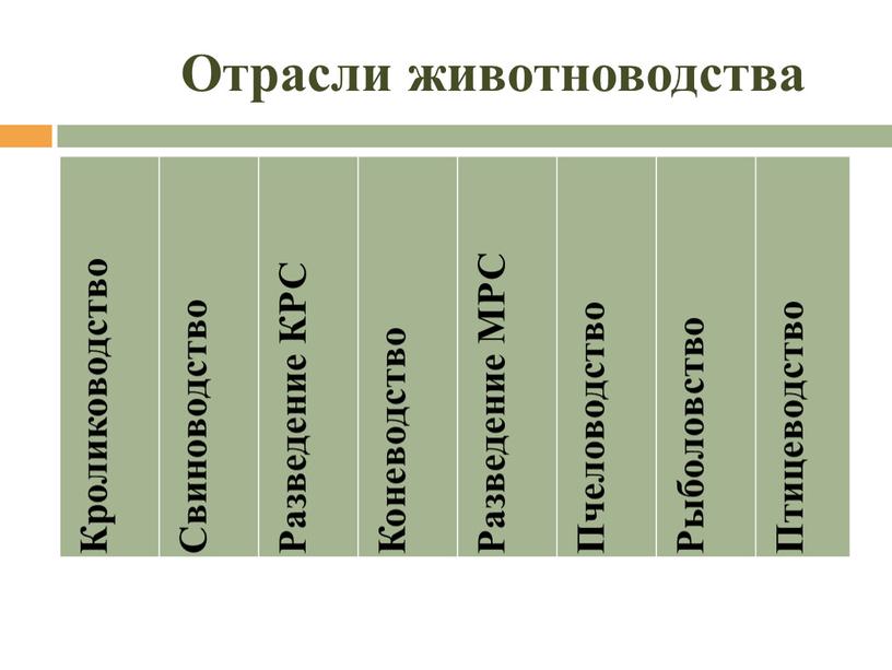 Отрасли животноводства Кролиководство