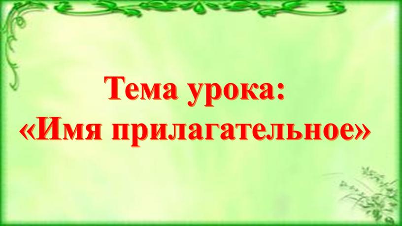 Тема урока: «Имя прилагательное»