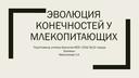 Презентация"Эволюция конечностей у млекопитающих"