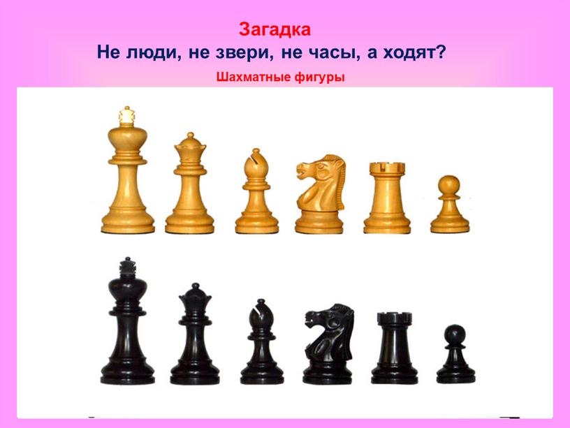 Загадка Не люди, не звери, не часы, а ходят?