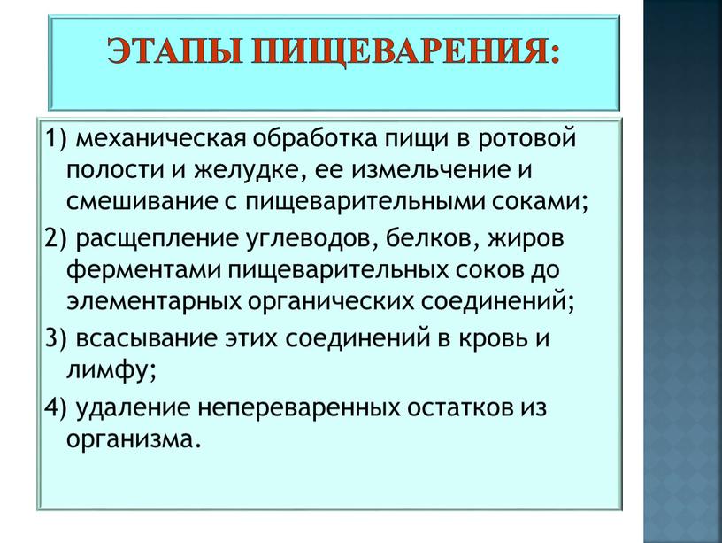 Этапы пищеварения: 1) механическая обработка пищи в ротовой полости и желудке, ее измельчение и смешивание с пищеварительными соками; 2) расщепление углеводов, белков, жиров ферментами пищеварительных…