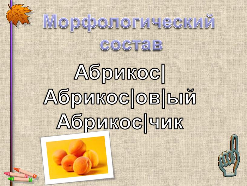 Морфологический состав Абрикос|