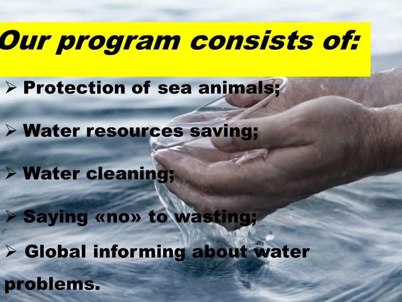 Our program consists of: Protection of sea animals;