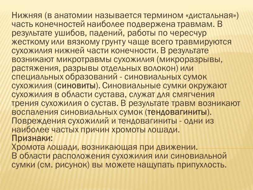 Нижняя (в анатомии называется термином «дистальная») часть конечностей наиболее подвержена травмам