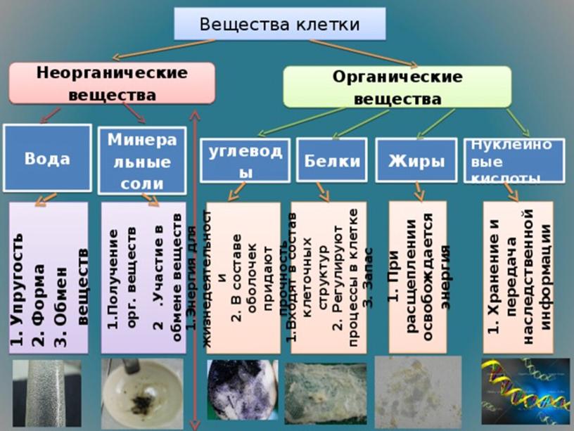 Презентация