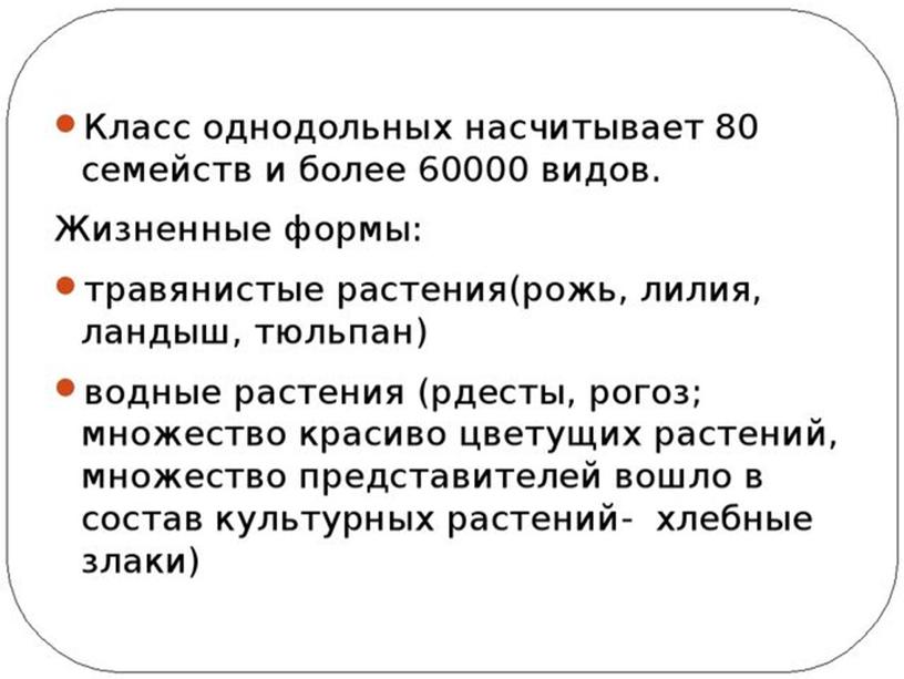 Сравнительная анатомия однолетних растении