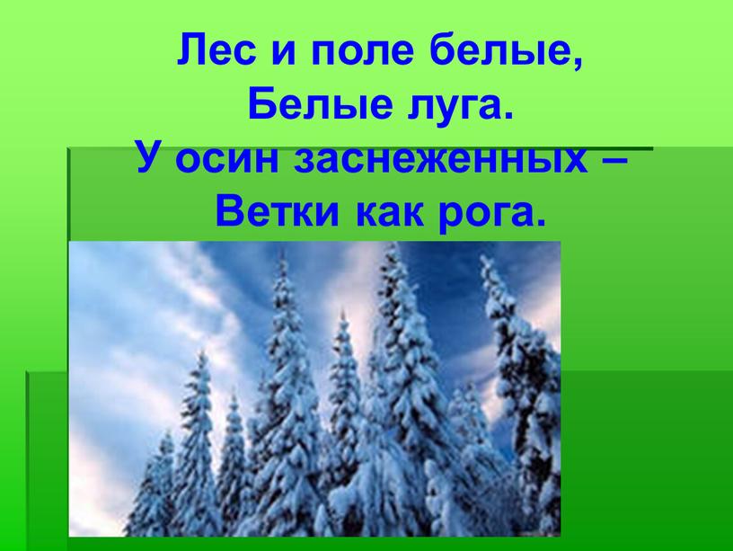 Лес и поле белые, Белые луга. У осин заснеженных –